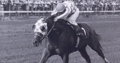 الحصان سكيرتاريات 