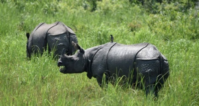 تصريح بقتل الصيادين