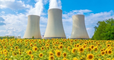 عباد الشمس و أهميته البيئية