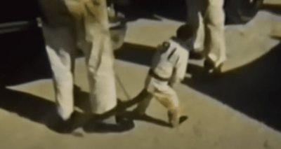 القرد لوكو فلوكو