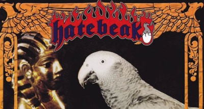 فريق موسيقي مطربه بغبغاء