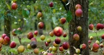 إستعمار الكواكب و الجاذبية 