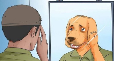 متلازمة الحمل عند الجرو