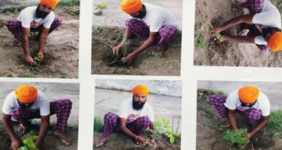 زراعة شتلات مقابل رخصة سلاح 