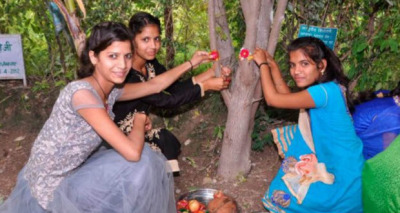 قرية بيبلانتري