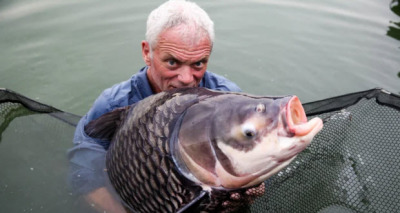 برنامج وحوش النهر