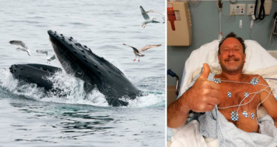 إبتلاع الحوت الأحدب لإنسان 