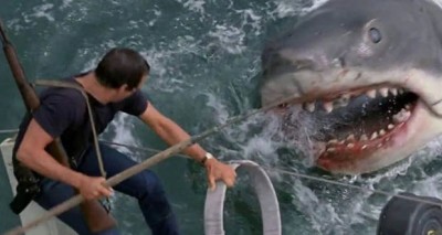 تسبب فيلم الفك المفترس في إنخفاض اعداد القروش