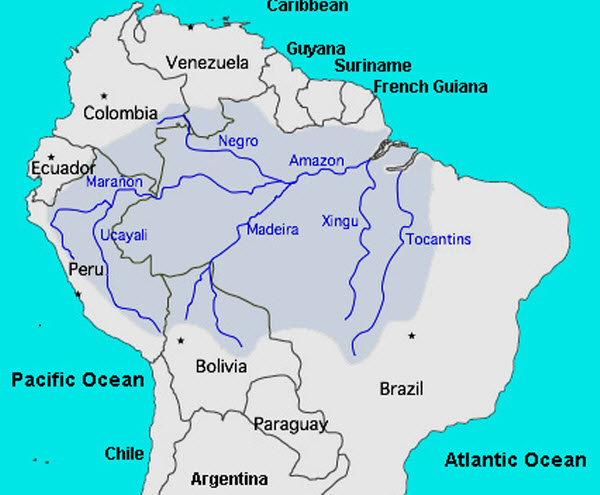 دول نهر الأمازون
