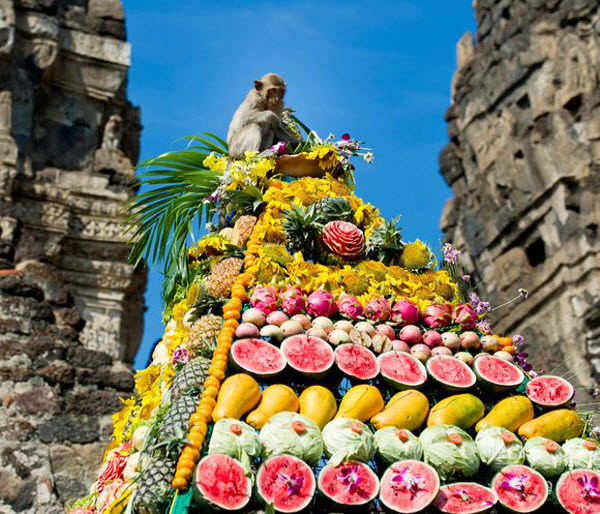 مهرجان بوفيه القرود فى تايلاند