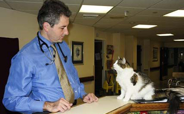 الطبيب ديفيد دوسا مع القط أوسكار