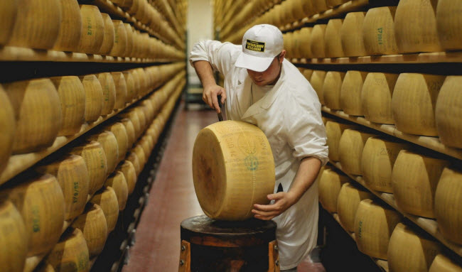 تعرف على بنك كريديتو اميليانو الذي يسمح بأقراص الجبن كضمان لقروضه المالية