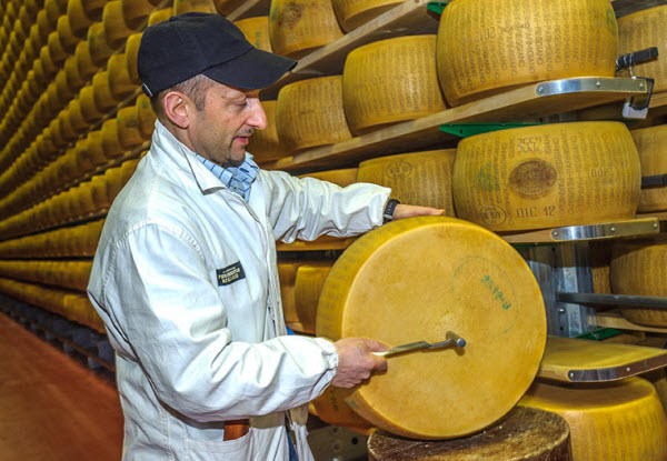 خبراء جبن الباراميزان داخل مستوع الجبن التابع لبنك كريديتو اميليانو