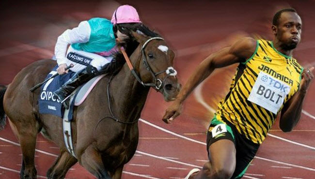 ماراثون الرجل فى مواجهة الحصان .. عندما يتخذ الإنسان الحيوان منافسا له على نفس المضمار