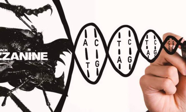 ميزانين .. أول ألبوم غنائي من نوعه يتم حفظه داخل أحماض نووية DNA و يمكن رشه فى الهواء