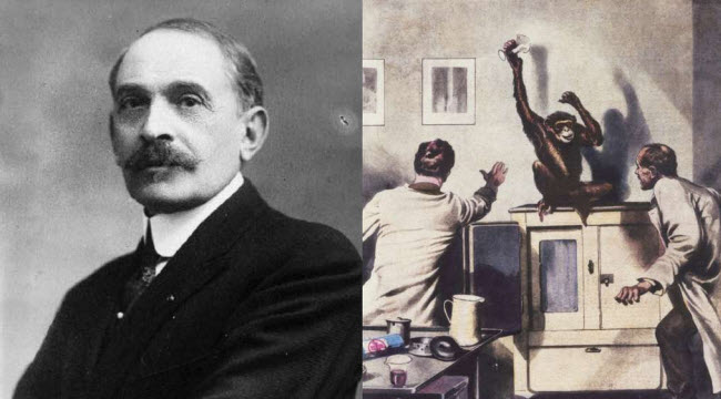 سيرجي فورونوف