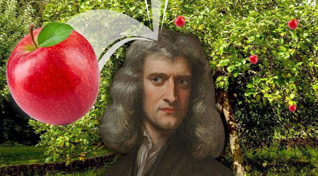 هل لا تزال الشجرة التى أسقطت تفاحتها على نيوتن موجودة ؟