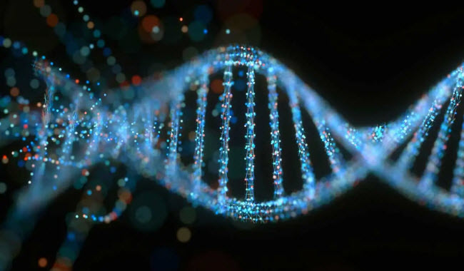 الحمض النووي DNA