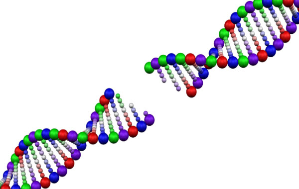 الحمض النووي DNA