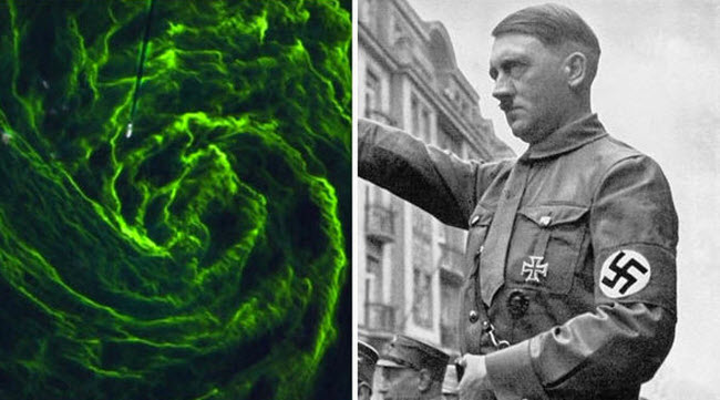 هل لم يستخدم هتلر السلاح الكيميائي خلال الحرب لعدم إنسانيته ؟