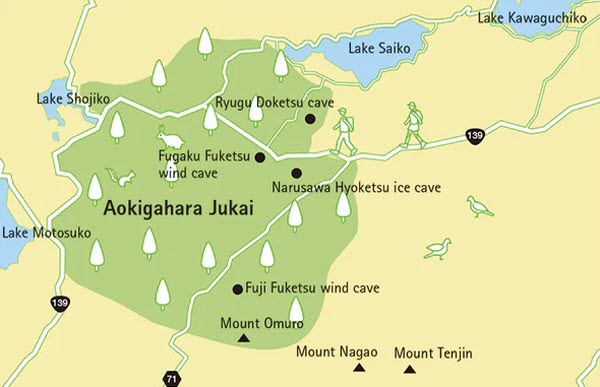 منطقة أوكيجاهارا المعروفة بإسم غابة الإنتحار