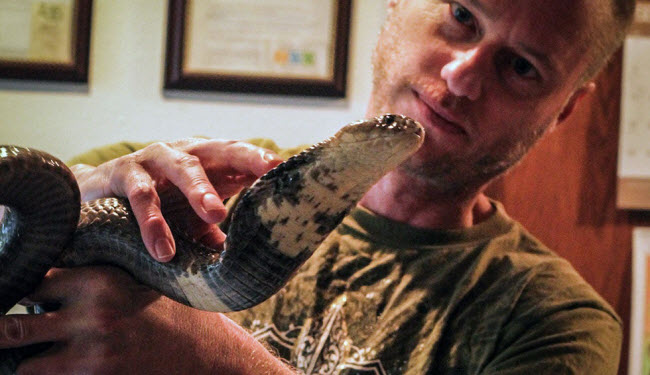 أمريكي يقوم بتعريض نفسه للدغات الأفاعي السامة لإعطاء جسده مناعة ذاتية ضد سمومها