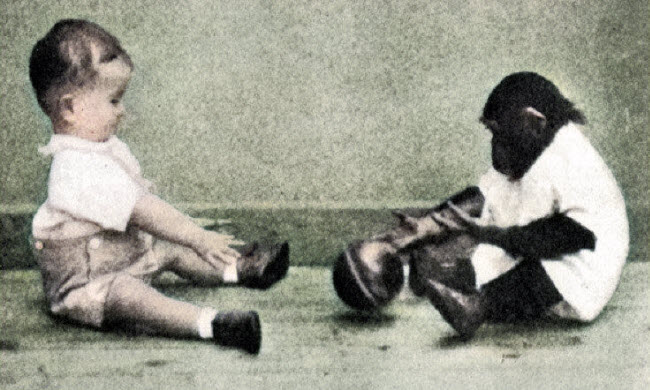 ماذا يحدث إذا تم تربية قرد مع طفل منذ الصغر ؟ .. قصة الشامبنزي جوا الذي كان محور تجربة علمية هى الأغرب من نوعها