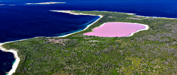بحيرة هيلير ذات اللون الوردي