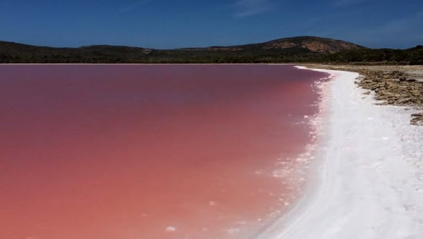 بحيرة هيلير الوردية