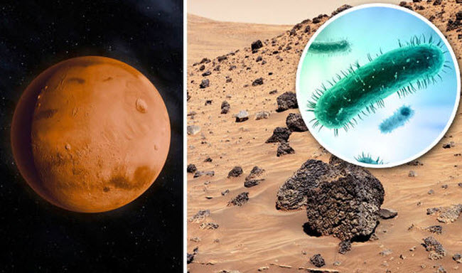 هل توجد حياة علي كوكب المريخ ؟