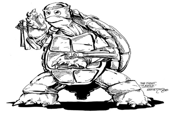 أول رسمة لسلاحف النينجا