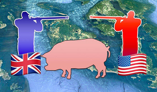 حرب الخنزير .. قصة حرب كادت تشتعل بين الأمريكيين و البريطانيين بسبب خنزير
