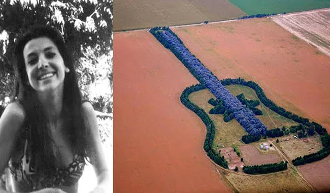 مزراع أرجنتيني يقوم بإنشاء جيتار ضخم من الأشجار لتخليد ذكري زوجته الراحلة