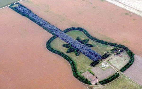مزراع أرجنتيني يقوم بإنشاء جيتار ضخم من الأشجار لتخليد ذكري زوجته الراحلة