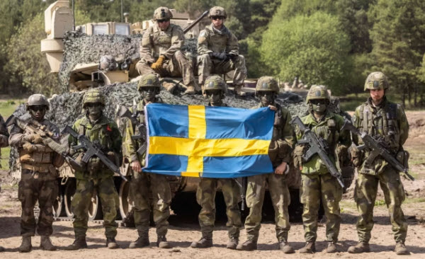 جيش السويد