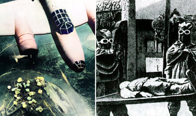 عملية أزهار الكرز في الليل .. الخطة اليابانية لنشر وباء الطاعون داخل الولايات المتحدة