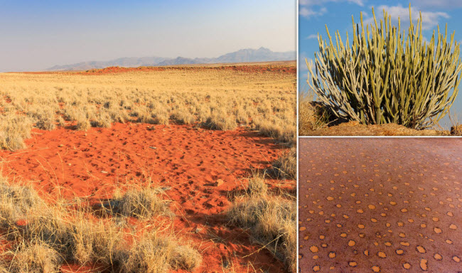 الدوائر الخيالية الغامضة .. ظاهرة طبيعية غريبة يعجز العلم عن تفسيرها