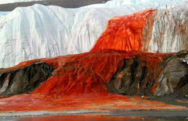 شلالات الدم .. نهر جليدي أحمر يتدفق من وسط جليد القارة القطبية الجنوبية الأبيض