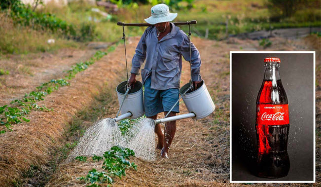 مزارعين هنود يستخدمون مشروبات كوكاكولا و بيبسي كبديل للمبيدات الحشرية