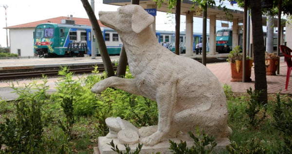 لامبو .. قصة كلب سافر بمفرده إلي جميع أنحاء إيطاليا عبر القطار