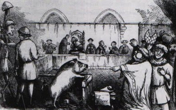 تاريخ أوروبا المجنون في محاكمة الحيوانات و إعدامها