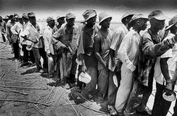 مذبحة البقدونس .. مجزرة دفع فيها ألاف من الهايتيين حياتهم لصعوبة نطقهم كلمة بقدونس 