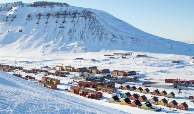 هل يحظر إقتناء القطط في مدينة لونجييربين النرويجية ؟