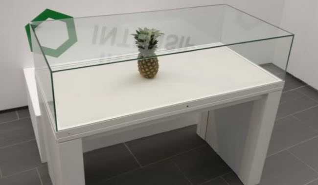 طلاب يتركون قطعة أناناس داخل متحف فظن الناس أنها قطعة فنية