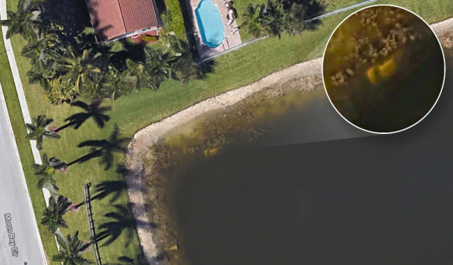 هل تم العثور علي جثمان رجل مفقود منذ عقدين عن طريق جوجل إيرث ؟