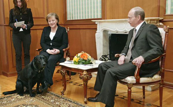 هل تعمد الرئيس الروسي فلاديمير بوتين إصطحاب كلبته معه خلال إجتماعه مع المستشارة الألمانية أنجيلا ميركل لتعمد تخويفها ؟