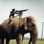 صورة العريف الجالس فوق فيل سيرلانكي و ممسكا بمدفع رشاش