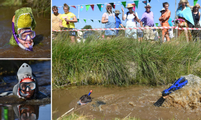 السباحة في الوحل .. رياضة لا تحتاج إلي مياه نظيفة لتكون ممتعة