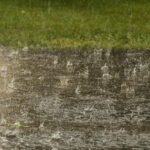 ما هي الأمطار