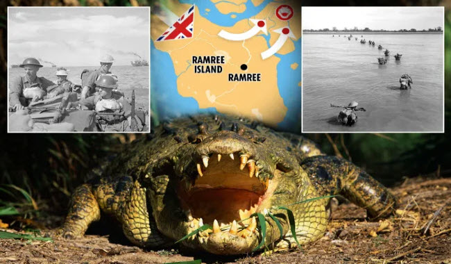 مذبحة تماسيح جزيرة رامري .. حين تحولت الطبيعة لسلاح في الحرب العالمية الثانية